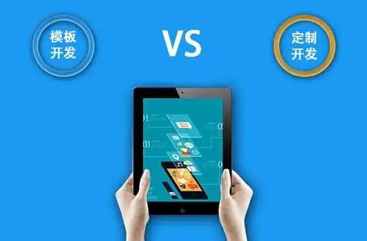 軟件開發(fā)定制